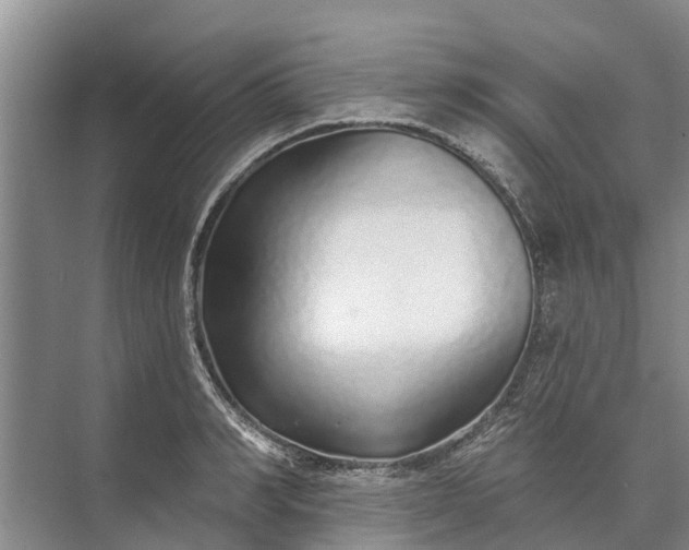 X0000072940990200608041237