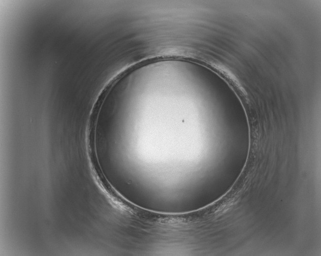 X0000072940991200608041237