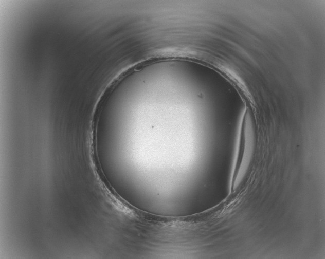 X0000072940992200608041237