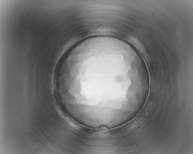 X0000072940994200608041237