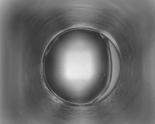 X0000072940996200608041237