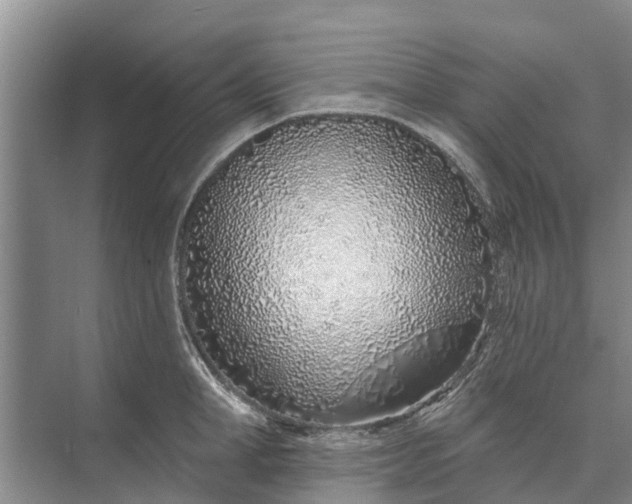 X0000072940998200608041237