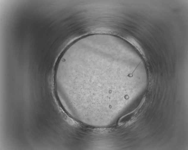 X0000072941000200608041237