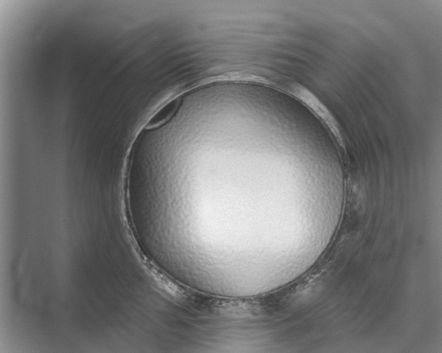 X0000072941002200608041237