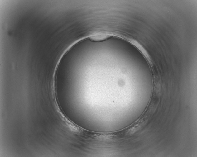 X0000072941004200608041237