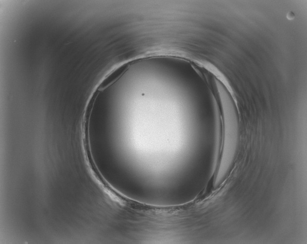 X0000072941005200608041237