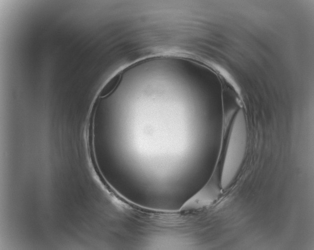 X0000072941007200608041237