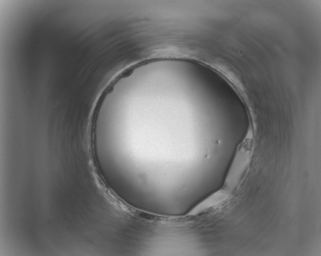 X0000072941008200608041237