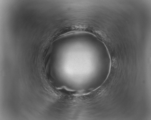 X0000072941009200608041236