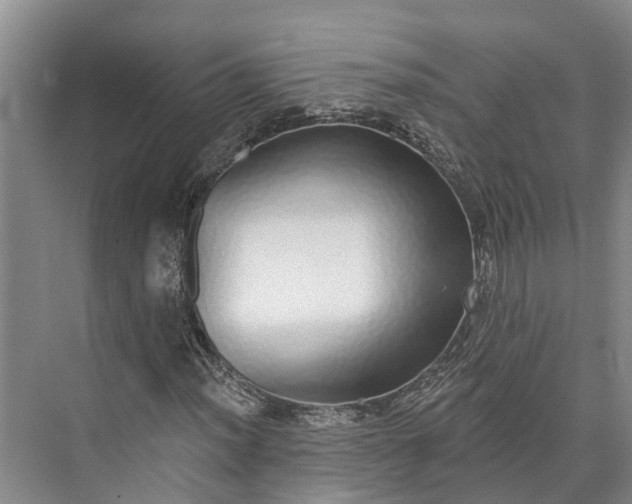 X0000072941012200608041236