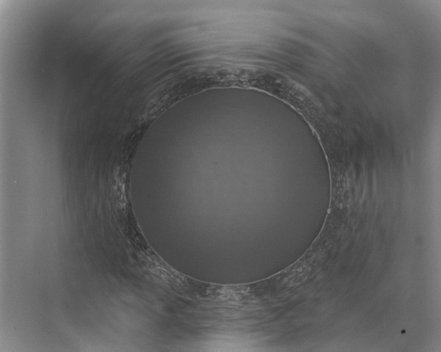 X0000072941013200608041236