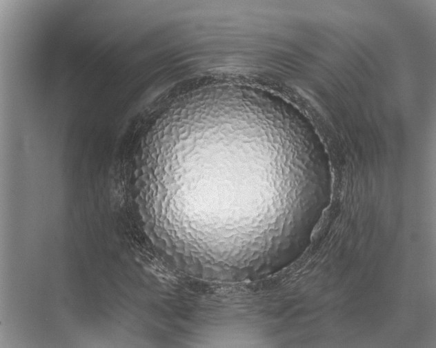 X0000072941015200608041236