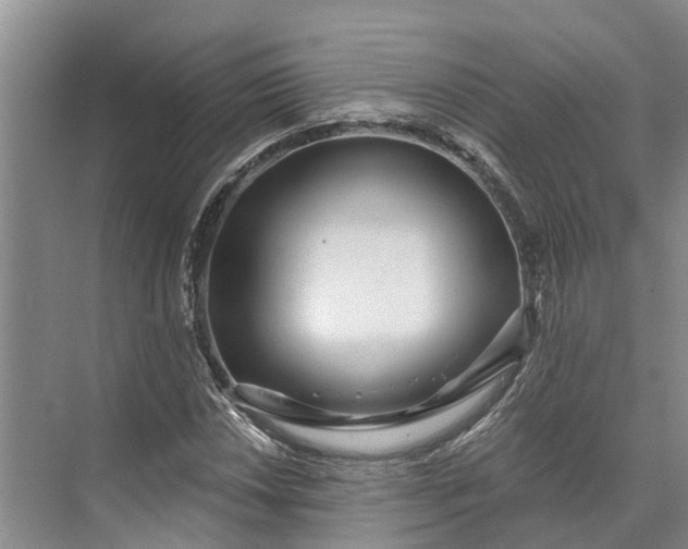 X0000072941018200608041236