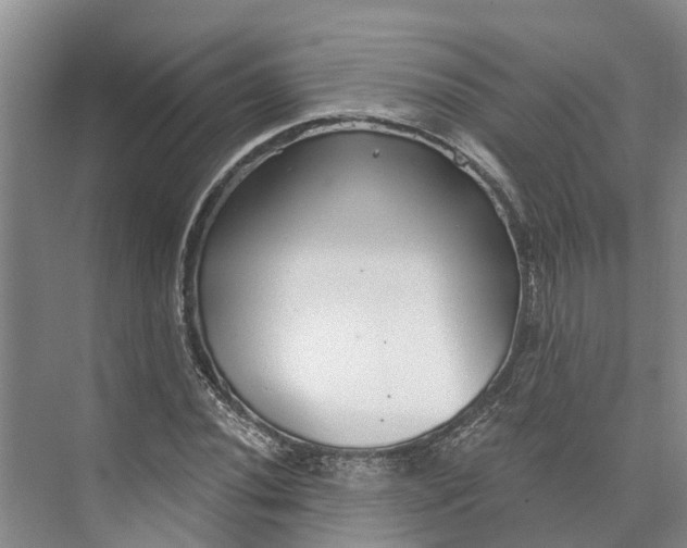 X0000072941020200608041236