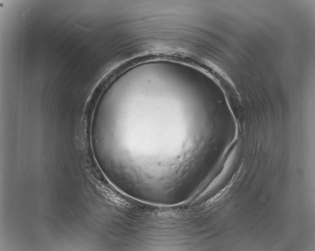 X0000072941021200608041236