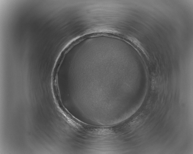 X0000072941024200608041236