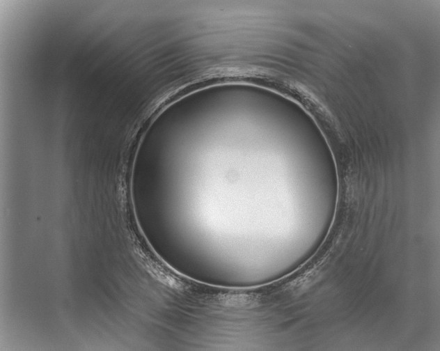 X0000072941025200608041236