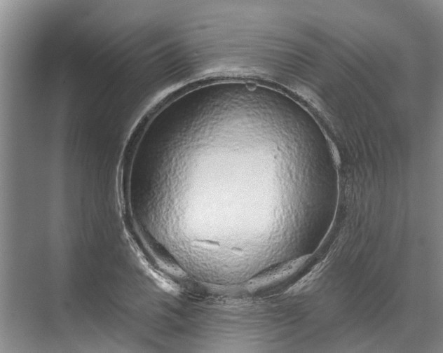 X0000072941030200608041236