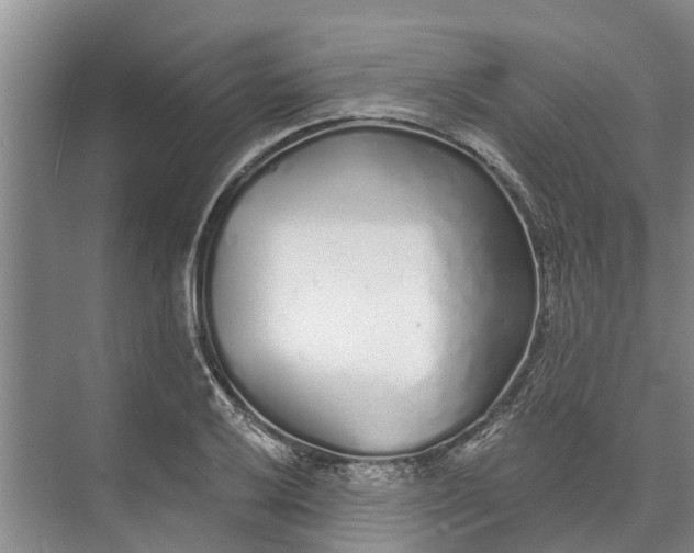 X0000072941032200608041236