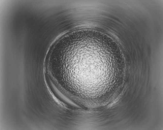 X0000072941034200608041236