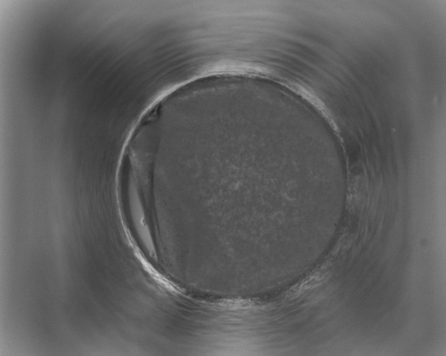 X0000072941037200608041237