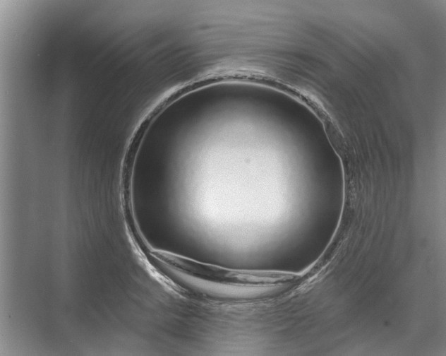 X0000072941038200608041237