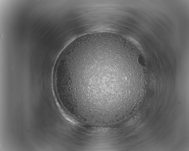 X0000072941039200608041237