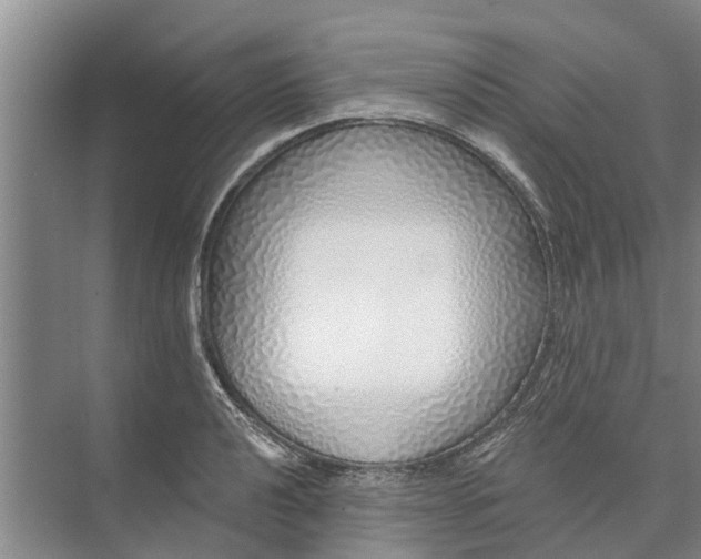 X0000072941040200608041237