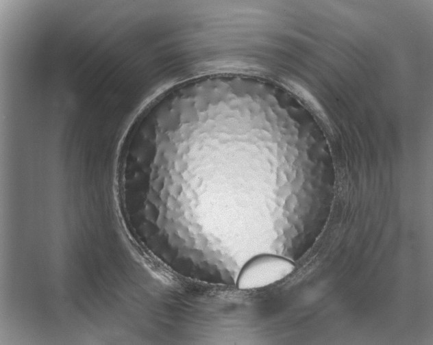 X0000072941043200608041237