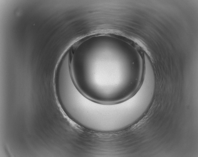 X0000072941046200608041237