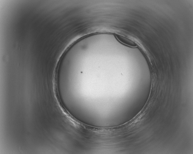 X0000072941048200608041237