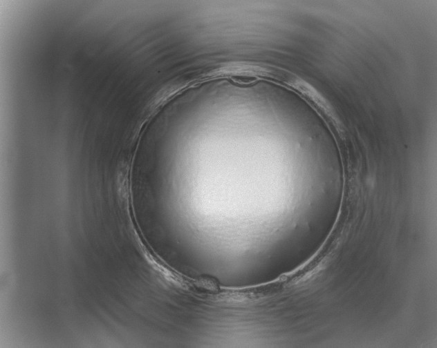 X0000072941049200608041237