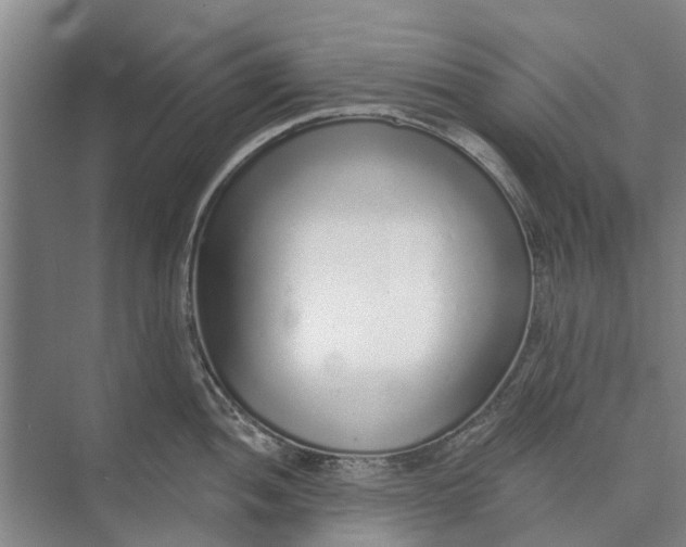 X0000072941052200608041237