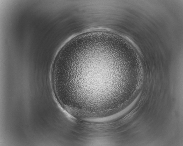 X0000072941054200608041237