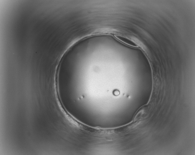 X0000072941055200608041237