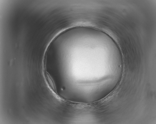 X0000072941056200608041237