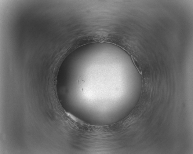 X0000072941057200608041236