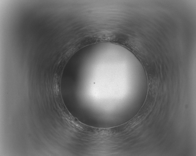 X0000072941058200608041236