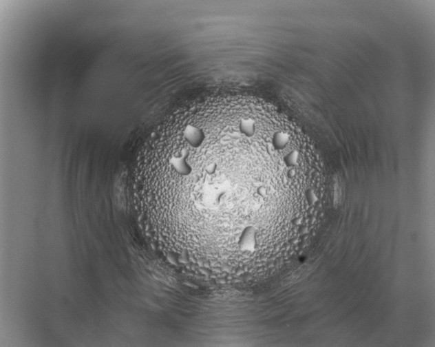 X0000072941059200608041236