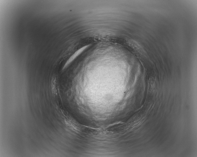 X0000072941060200608041236