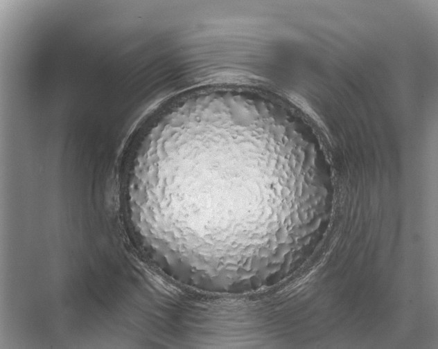 X0000072941067200608041236