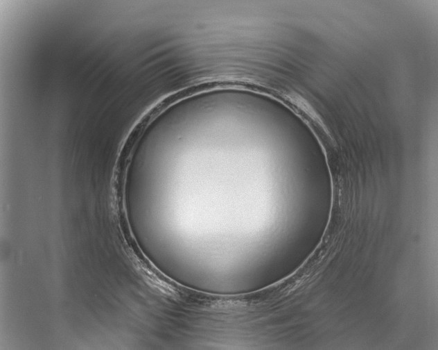 X0000072941068200608041236