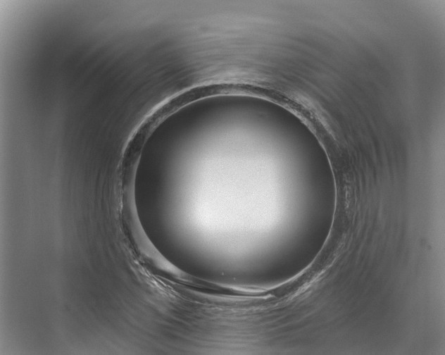 X0000072941069200608041236