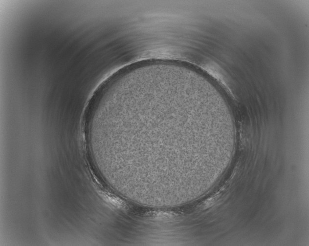 X0000072941070200608041236