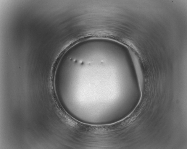 X0000072941071200608041236