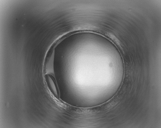 X0000072941072200608041236