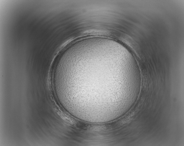 X0000072941074200608041236