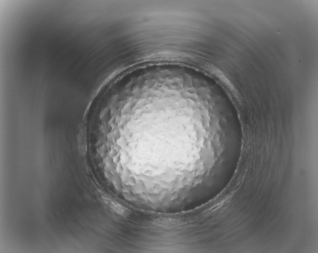 X0000072941075200608041236