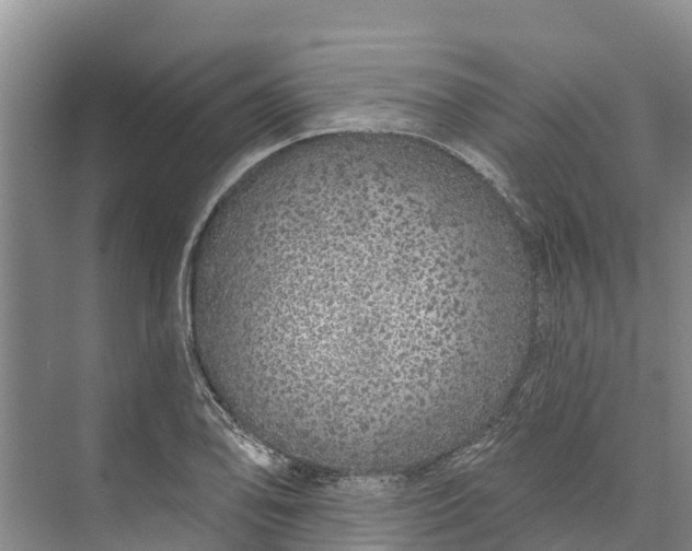 X0000072941078200608041236