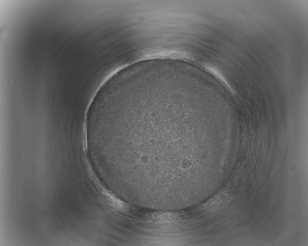 X0000072941079200608041236